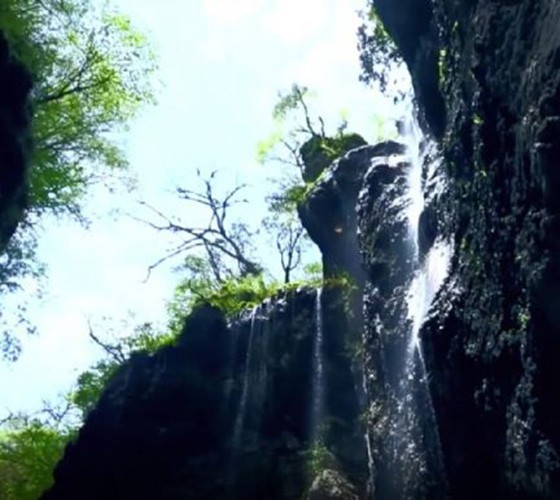 青山綠水，白龍江畔江畔息白鷺，兩岸綠橄欖入眼的都是純樸自然枝上花開(kāi)，春來(lái)水暖魚(yú)蝦戲水，鳥(niǎo)語(yǔ)花香心中充滿(mǎn)著舒暢之感祥宇生態(tài)產(chǎn)業(yè)園，位于隴南市武..